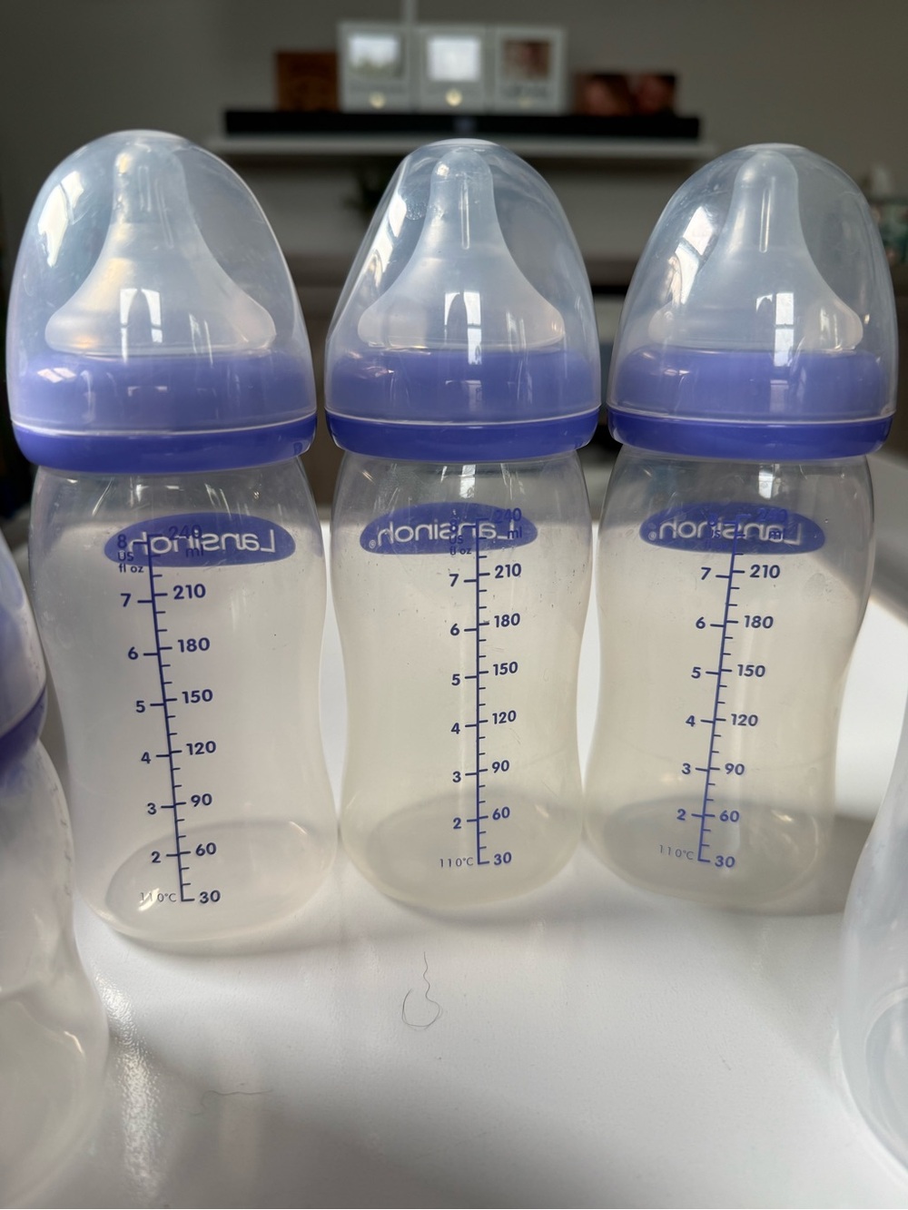 Lansinoh Baby Bottle Lot – 8 Bottles 🍼